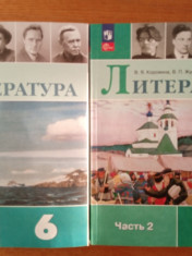 Литература в 2-х частях